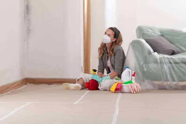 Reliable Mold Testing contractor in Wittman, MD by WQB Mold Removal